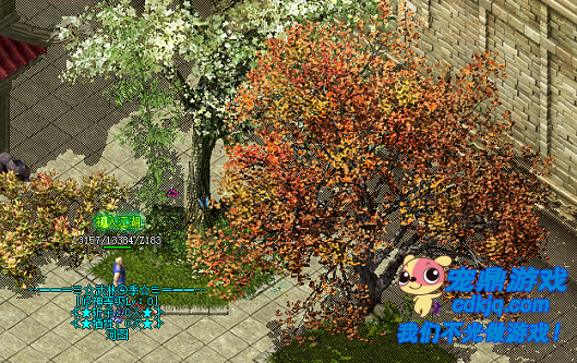 ս���������ɹ��ִ���������